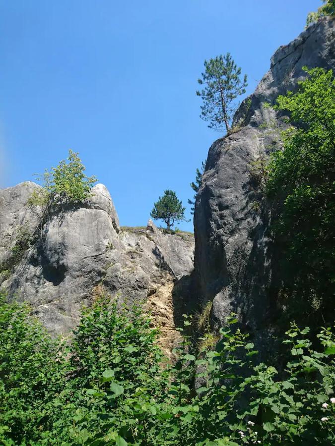 Patchou'S Cabane Villa Couvin Exterior photo
